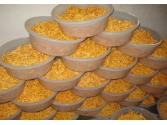 济南鑫鹏长期提供虫草天麻菌种欢迎选购图2