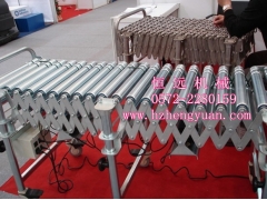 厂家供应菇类辊道线,菇类伸缩辊道线,柔性辊道机,电动辊道机图2