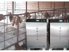 肇庆臭氧消毒机，臭氧机，臭氧发生器厂家图1