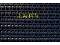 供应优质高效价优1100塑料链网（蘑菇罐头生产线）*图2