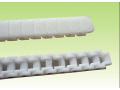 供应优质高效价优RS40P塑料链条（蘑菇罐头生产线）*图1