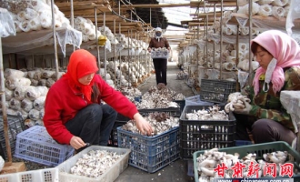 酒泉市肃州区完善“农超对接”机制大力发展订单农业 ()