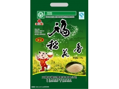 食品包装袋┇塑料包装袋┇包装袋┇铝箔袋┇铝箔印刷袋图1