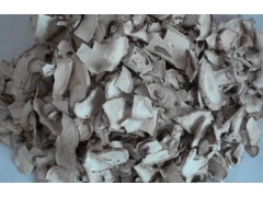 脱水蘑菇技术及设备图1