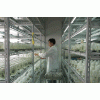 培养玻璃瓶 菌苗组培瓶 食用菌玻璃瓶 江苏徐州华联玻璃瓶总厂