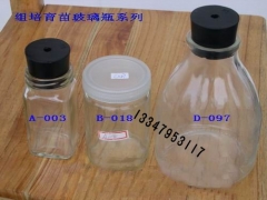 【组培瓶、组培盖、兰花组培瓶、菌瓶、组培器皿，透气盖】图2