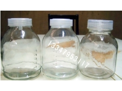 供应组培瓶，培养瓶价格，组织培养瓶批发图3