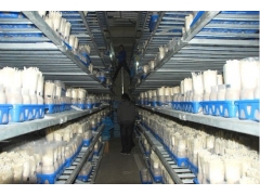 菌菇房智能控制箱图3