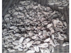 天麻种子信息图2