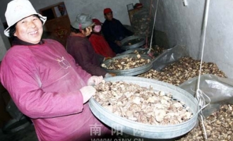 西峡香菇成为河南省第一大出口农产品 ()