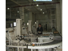 食用菌菇滚道输送机图1