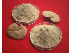 供应灵芝粉、野生木灵芝粉图1
