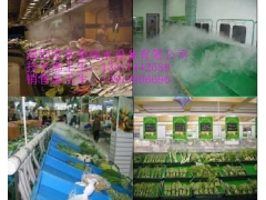 大棚加湿，加湿除尘，除虫，降温图3