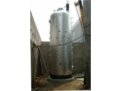 食用菌蒸汽锅炉图3