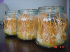 组培玻璃瓶 实验瓶 马铃薯玻璃瓶 徐州玻璃瓶厂图1