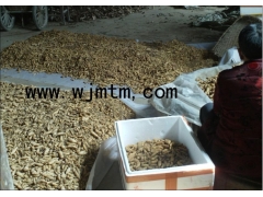 优质高产零代天麻种图1