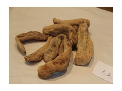 天麻种植技术，天麻人工种植，种植天麻图1