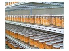 供应500-1000ML的冬虫夏草玻璃瓶图1