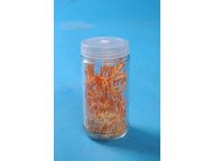 新鲜北冬虫夏草图1