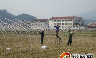 磐安县方前食用菌标准化示范园启动建设 ()