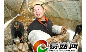 宁波下岗工人种食用菌产值超千万元 ()