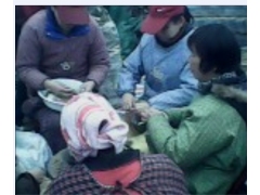 大量硬木屑出售图1