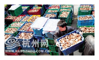 香菇涨价买不买？ ()