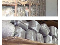 供应湖北随州菌种图1