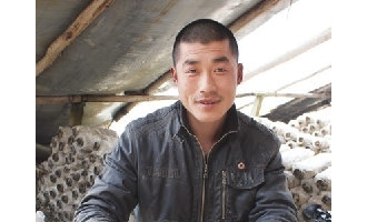 张云雷：种平菇赚钱收益快 ()