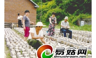 退休军人成了带头致富司令 ()