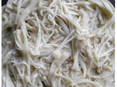 供应白金针菇图1