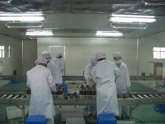 食用菌接种线/接种室/更衣室/接种箱/培养室/菇房臭氧消毒机图1