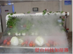 超声波加湿器 蔬菜加湿器 水果加湿器图1