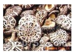 河南三门峡卢氏大量供应优质卢氏香菇图1