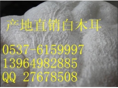 白木耳 银耳 山东省白木耳 银耳 雪耳白毛木耳批发图2