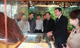 湖南株洲市副市长张汉华一行参观考察安惠公司 ()