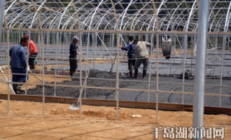 秀珍菇栽培成为淳安县屏门乡新兴产业 ()