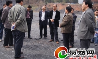 晋城市阳城县蒿峪村转型发展食用菌产业 ()