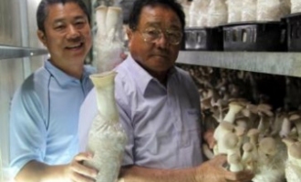 彰化菇类食品送达台湾各地 ()