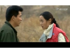 常年供应意杨木菌种接种棒图1