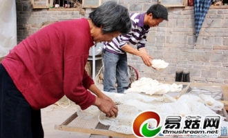 江安县竹荪种植打开致富新路子 ()