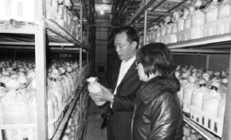 “煤老板”转行种蘑菇为了啥？ ()