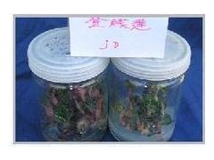 虫草玻璃瓶,组培瓶 黄金草虫草瓶 15252108499图2