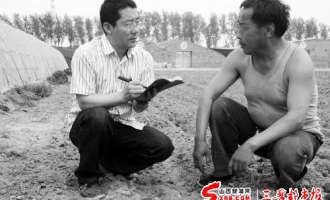 “桃园阁”蘑菇畅销孝义市场 ()
