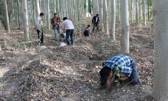 上海农科院食用菌研究所科技人员赴新疆采集野生食用菌资源 ()