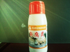 食用菌细菌性病害克星，蚊蝇蛆虫专业防治交流图1