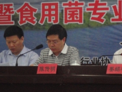 福建省食用菌技术推广总站书记，福建省食用菌行业协会会长