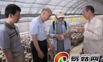 中国食用菌协会副会长李尚元一行考察第十八届国际食用菌大会通州区专业参观点筹备情况 ()