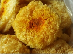 银耳/白木耳/雪耳/丑耳 /银耳子电话15160150659图2