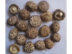 供应花菇2-2.5,3-4,4-5图1